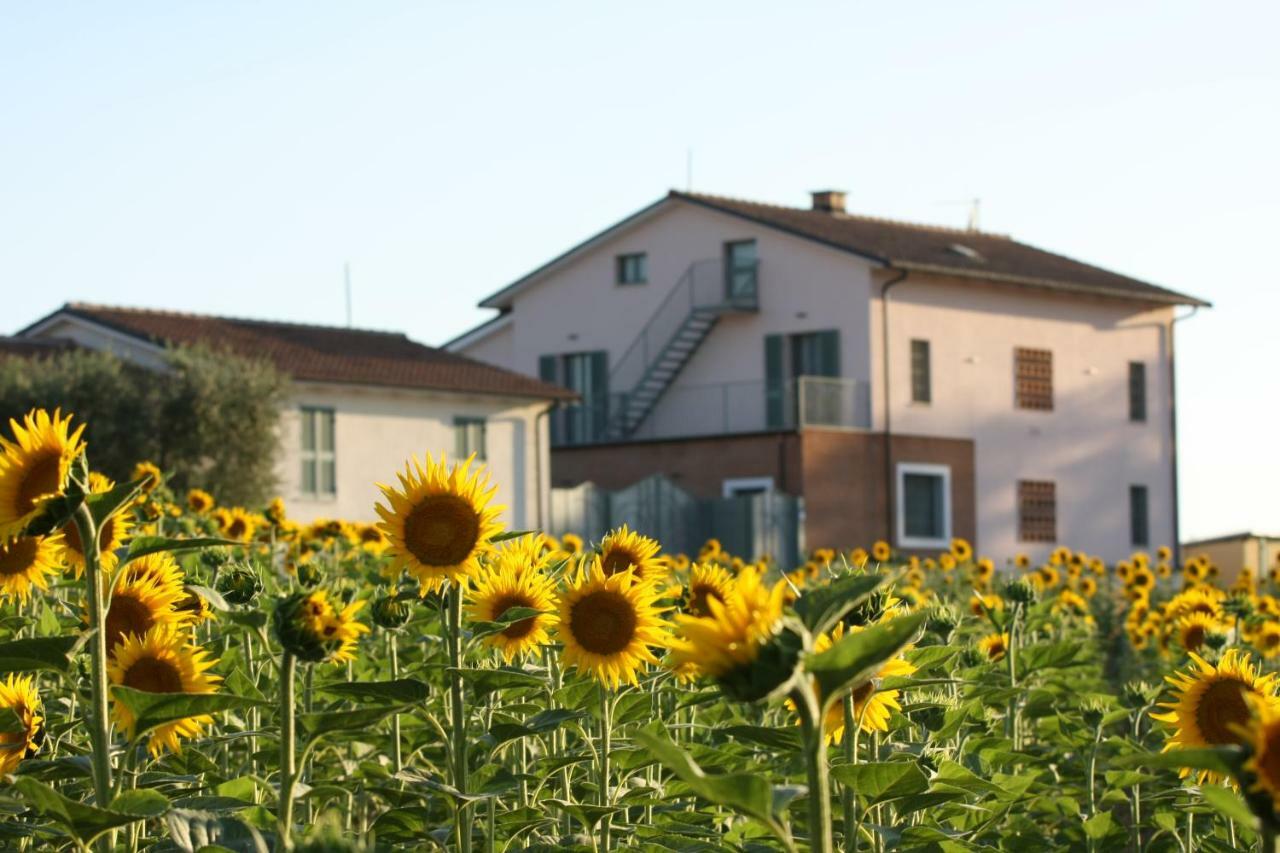 몬테카스트릴리 La Collina Del Girasole 빌라 외부 사진